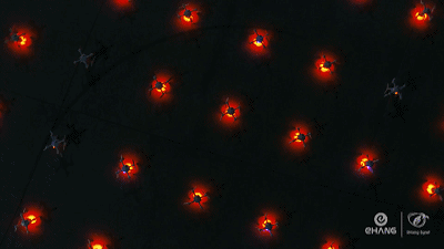 1582180508973910.gif 2.gif